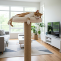Cat Scratching Post