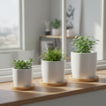 Ceramic Plant Pot Set